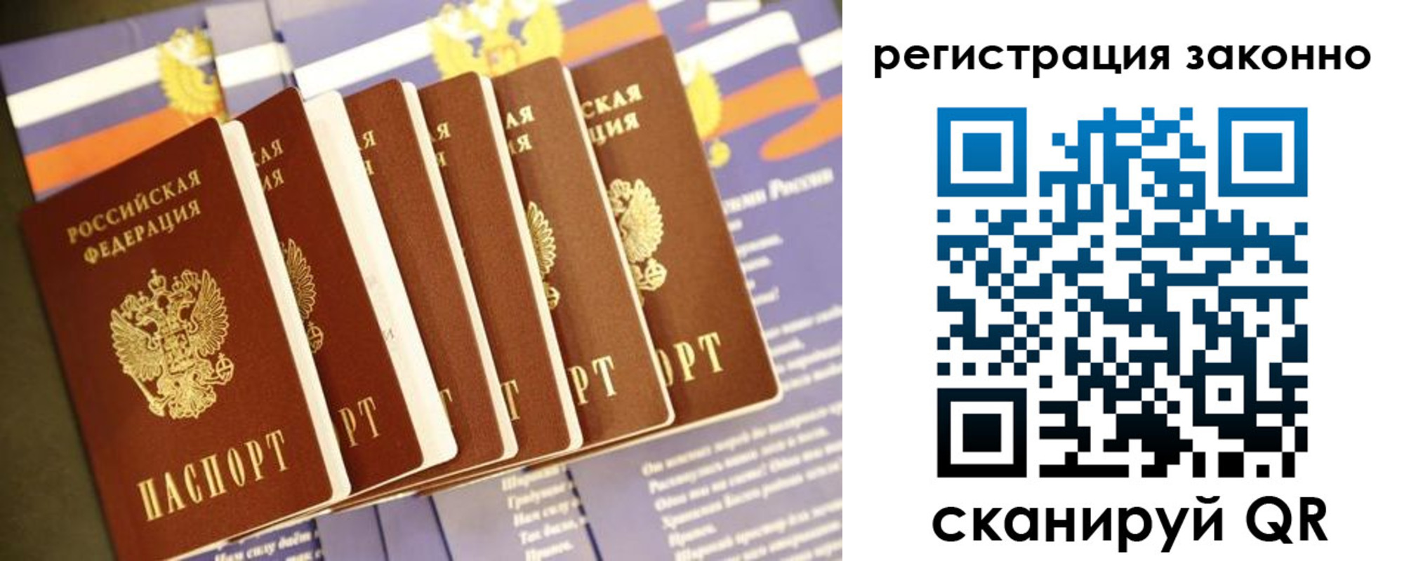 прописка для работы в Боровичах